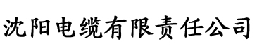 亚洲精品中文字幕一区二区三区电缆厂logo